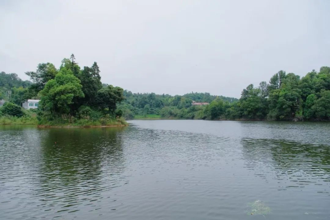 DƬ